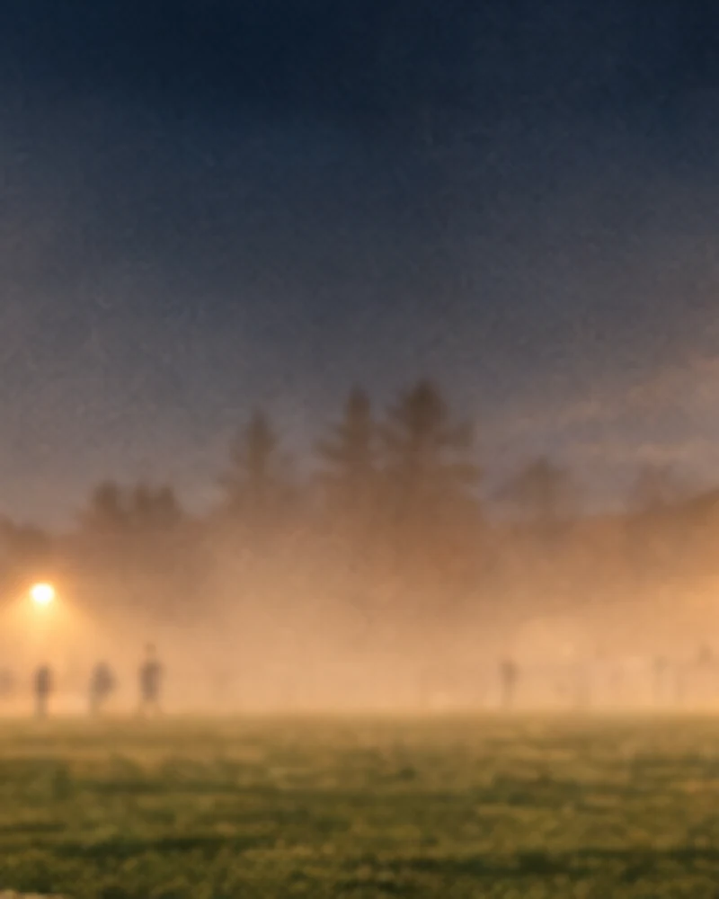 Un arbitre assistant de dos, drapeau à la main, au bord d’un terrain dans la brume (illustration)