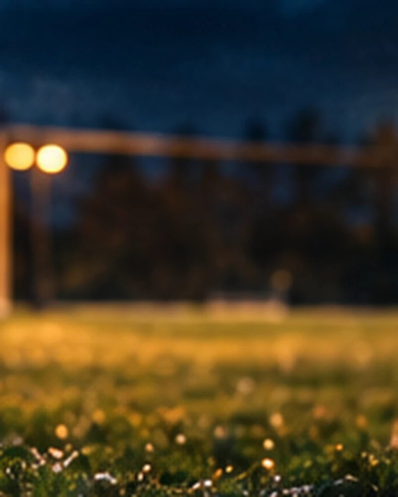 Un ballon sur la pelouse d’un terrain amateur, la nuit, devant un but éclairé (illustration)